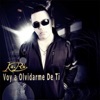 Voy a Olvidarme de Ti - Single