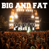 Big and Fat Party - Various Artists