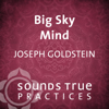 Big Sky Mind - Joseph Goldstein