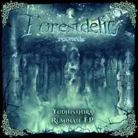 Alienation — Yudhisthira