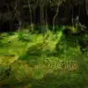 Derango - Made Out of Vapour