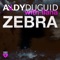 Zebra (feat. Ilana) - Andy Duguid lyrics
