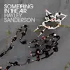 Something In The Air