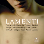 'Lamenti' artwork