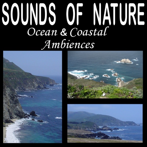 Sounds of Nature: Ocean and Coastal Ambiences