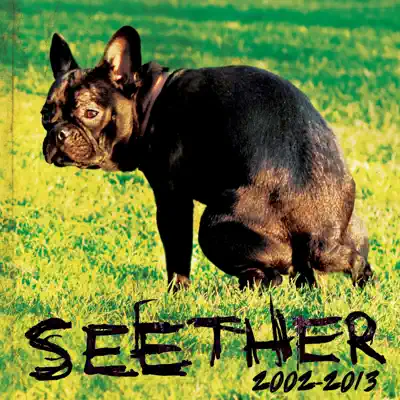 Seether: 2002-2013 - Seether