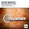 Reincarnations (Liam Wilson Remix) - Steve Morley lyrics