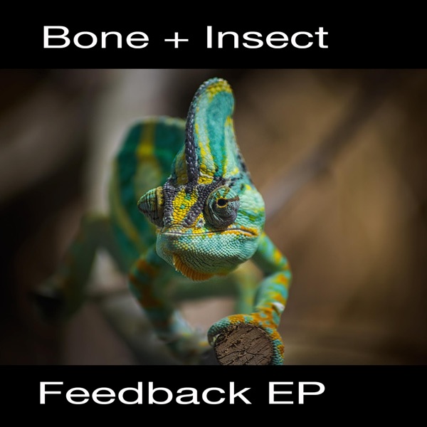 Feedback - Single