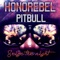 Seize the Night (feat. Pitbull) - Honorebel lyrics
