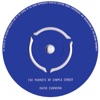 The Parrots of Simple Street - Single