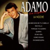 Adamo en Español : La Noche y Otros Éxitos, 1997