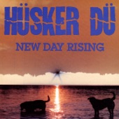 New Day Rising artwork