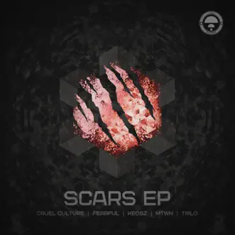 Scars (feat. BlackLouis) by Keosz & Fearful song reviws