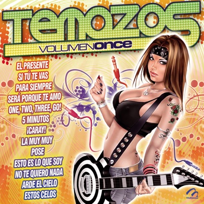 Temazos Vol. 11