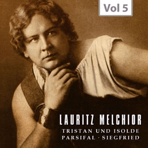Lauritz Melchior, The King Size Hero, Vol. 5 (Recordings 1925-1938)