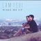 Wake Me Up (Acoustic Version) - Sam Tsui lyrics