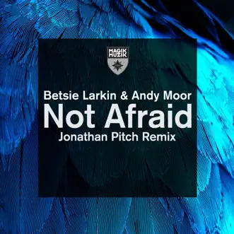 Not Afraid - Single by Betsie Larkin & Andy Moor album reviews, ratings, credits