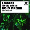 Acid Dream (T-Factor Meets Ash M) - Single