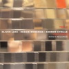 Time Being (feat. Oliver Lake, Reggie Workman & Andrew Cyrille), 2014