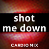 Shot Me Down (feat. Daja) [Workout Mix] - DJ DMX