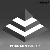 Barley - Pharaon