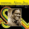 Vusi Mahlasela