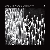 SpectraSoul - Light in the Dark