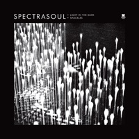 Light in the Dark / Shackles - Single - SpectraSoul
