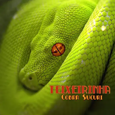 Cobra Sucuri - Single - Teixeirinha