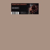 Venetian Snares - Einstein-Rosen Bridge