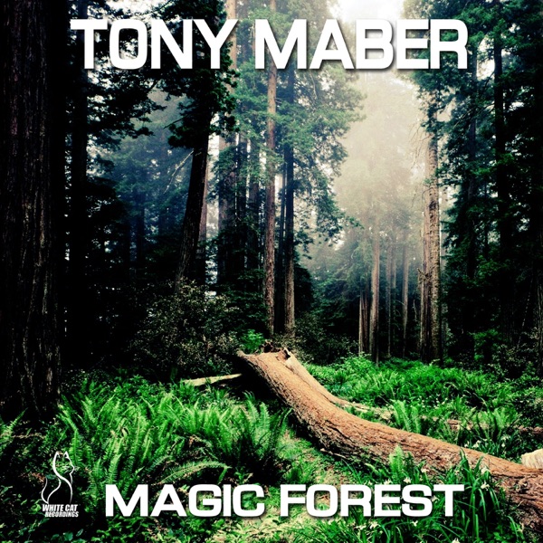 Magic Forest - Single