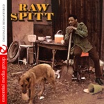 Raw Spitt - The Freedom Under Certain Konditions Marching Band