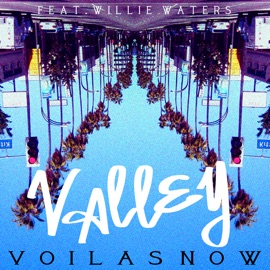 Valley (feat. Willie Waters) Voila Snow
