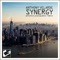 Synergy (Anthony Velarde Mix) - Anthony Velarde lyrics