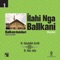 Sallallah Rabbuna (feat. Abas Jahja) artwork