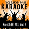 French Hit Mix, Vol. 2 (Karaoke Version) - La-Le-Lu