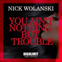 You Ain't Nothing But Trouble - Single - Nick Wolanski