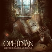 Life from the Other Side (Ophidian Remix) artwork