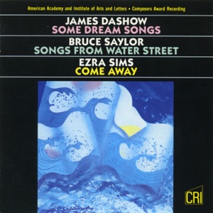 Some Dream Songs: Verse Six