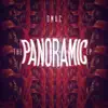 Stream & download Panoramic (feat. Sage the Gemini & Show Banga)