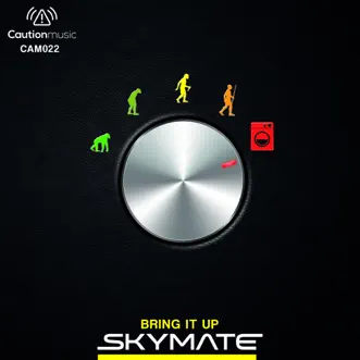 Not Anymore by Skymate song reviws