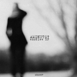 AmINuts - Embrace