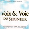 Gospel pour 100 Voix L'amour de Dieu pour moi Voix & Voie du Seigneur Vol 1 (Compilation 100% Religieuse)