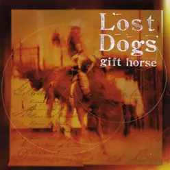 Gift Horse - The Lost Dogs