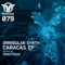 Caracas (Fractious Remix) - Irregular Synth lyrics