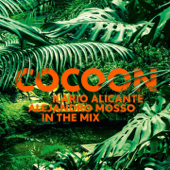 COCOON IBIZA (Mixed By Ilario Alicante & Alejandro Mosso) - Ilario Alicante & Alejandro Mosso