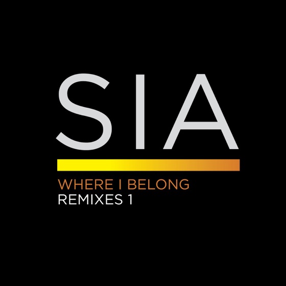 Cover artwork for Where I Belong (Roni Size Remix)