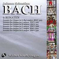 J.S.BACH: 6 SONATEN