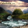 Caledonia (Remix) - Single