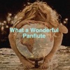 Ecosound - Somewhere Over the Rainbow / What a Wonderful World